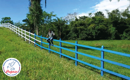 division-en-madera-plastica